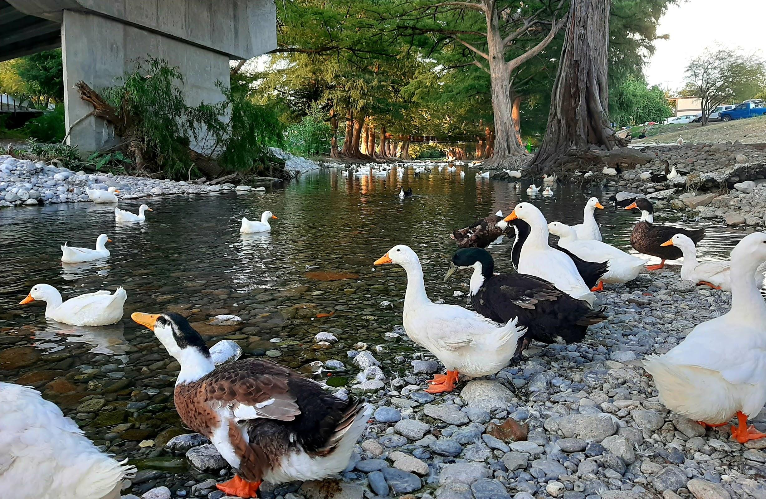 Parque Tolteca galería 10