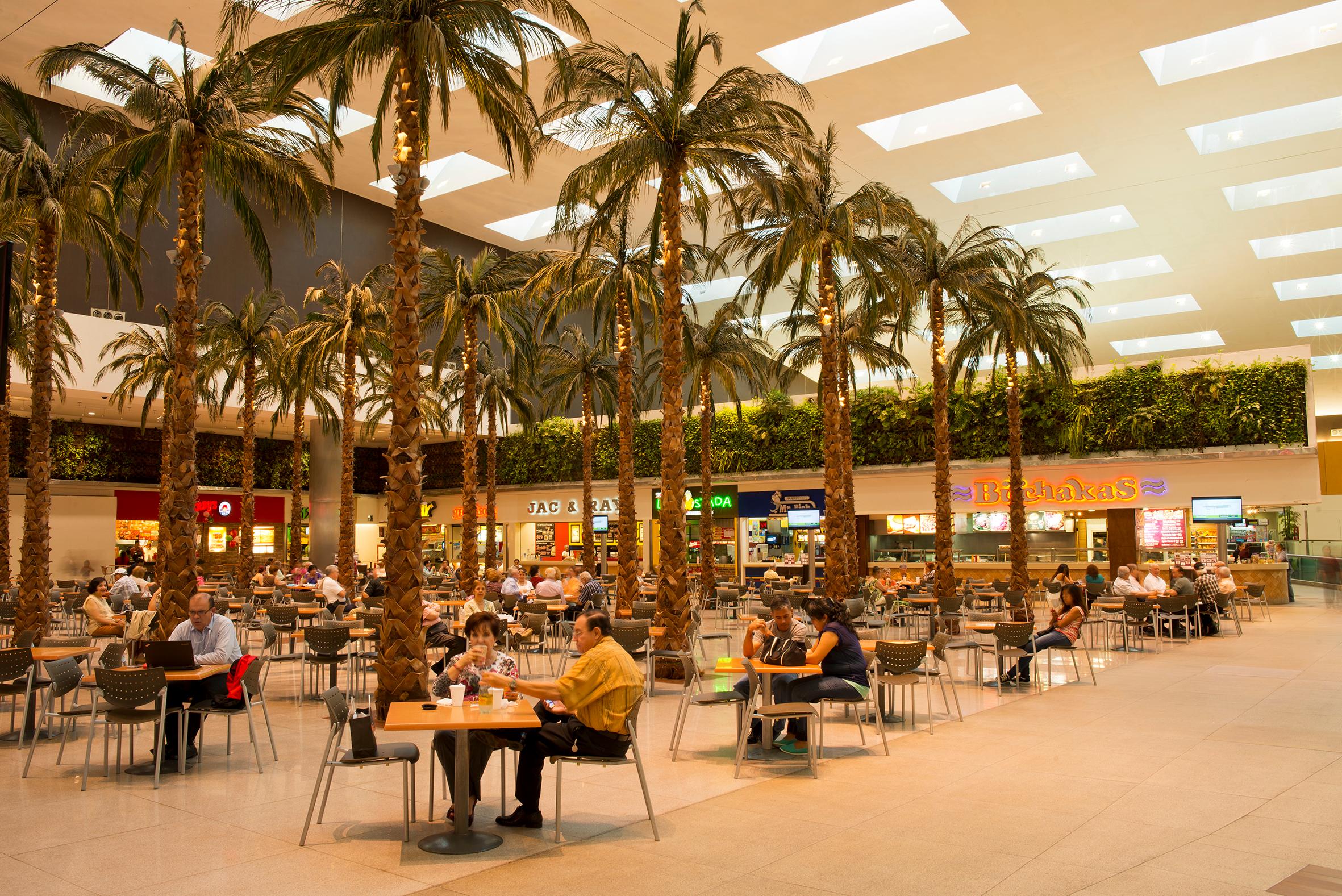 Paseo San Pedro galería 2