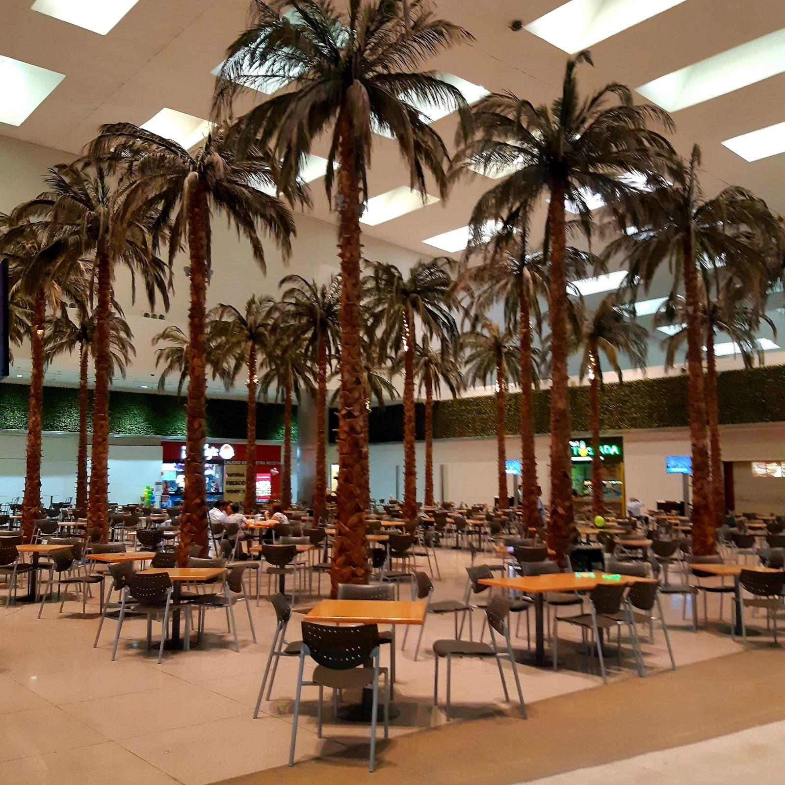 Paseo San Pedro galería 10