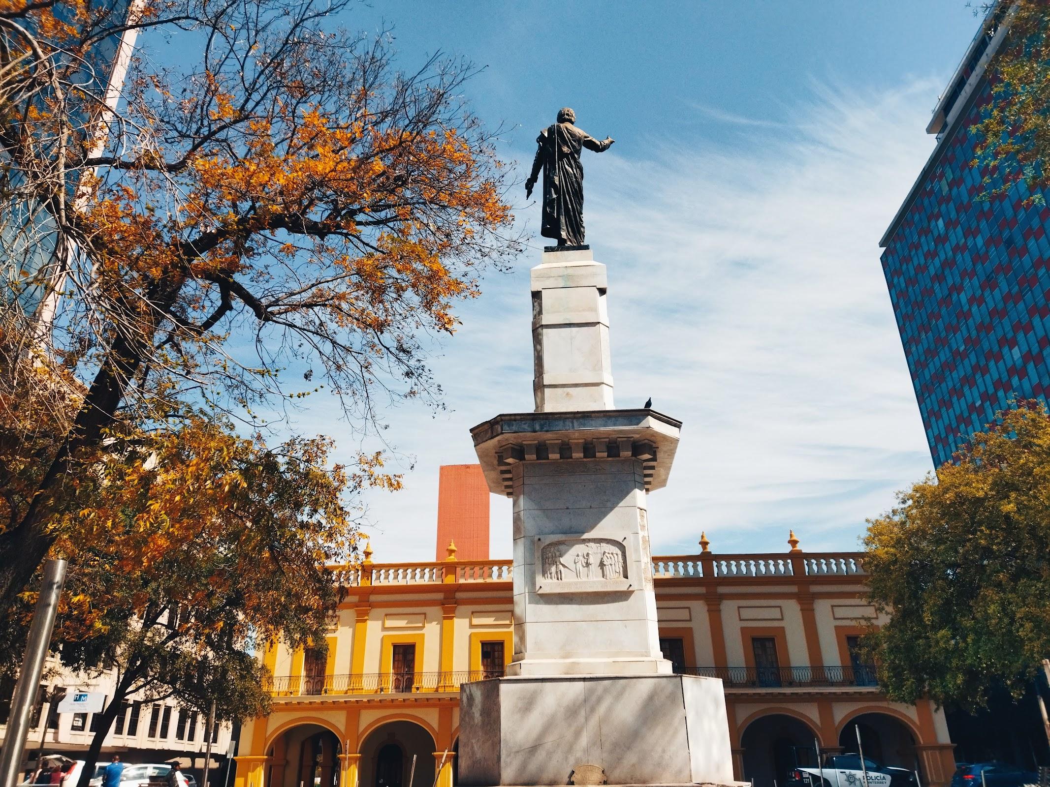 Plaza Hidalgo galería 2