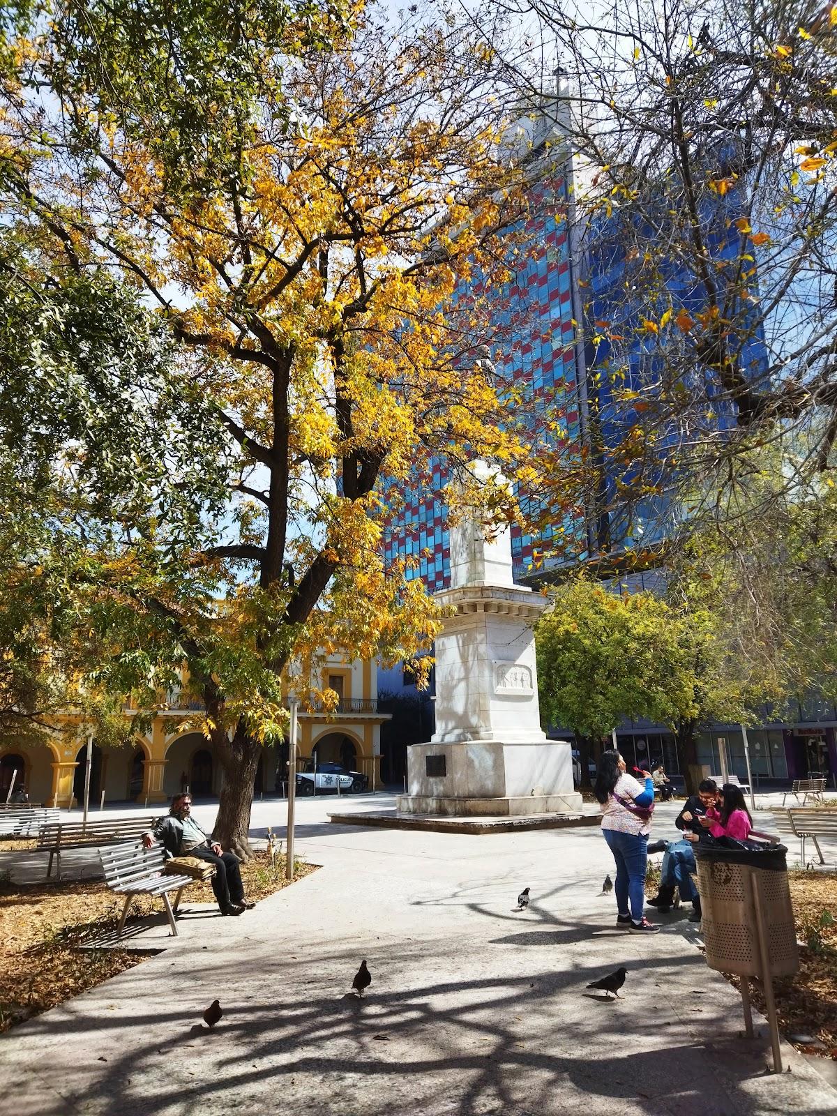 Plaza Hidalgo galería 7