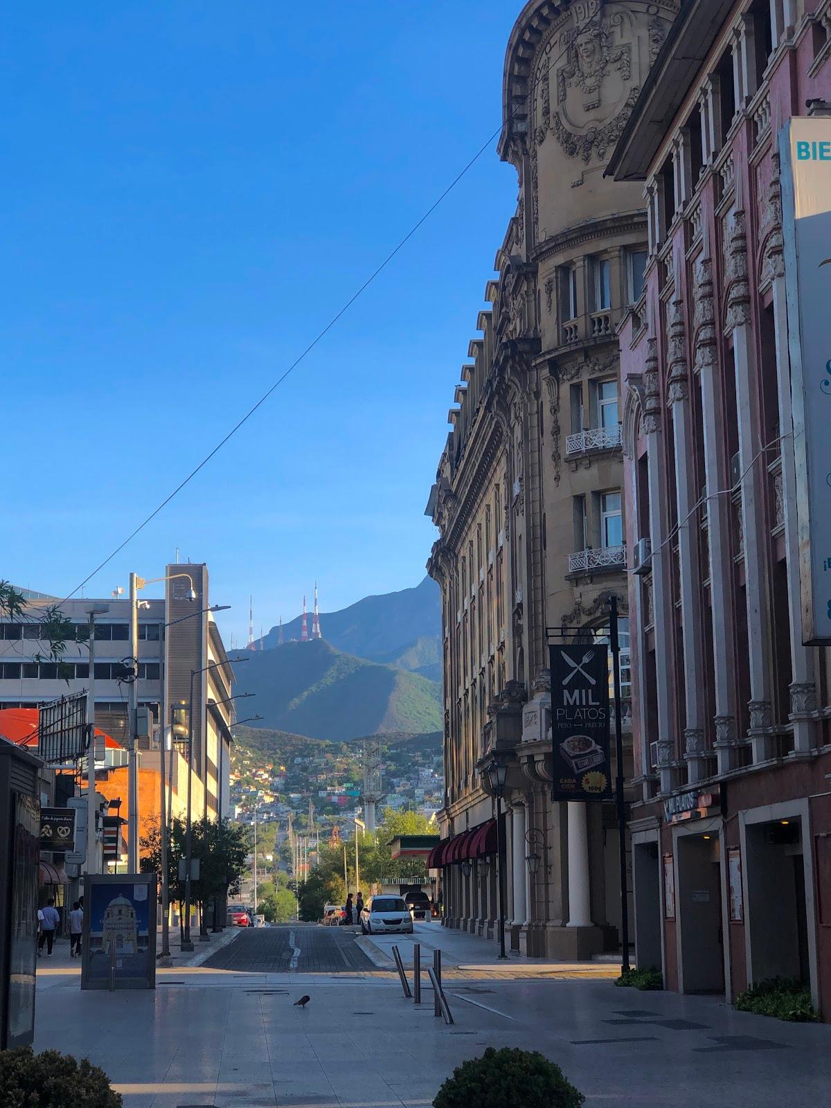 Plaza Hidalgo galería 8