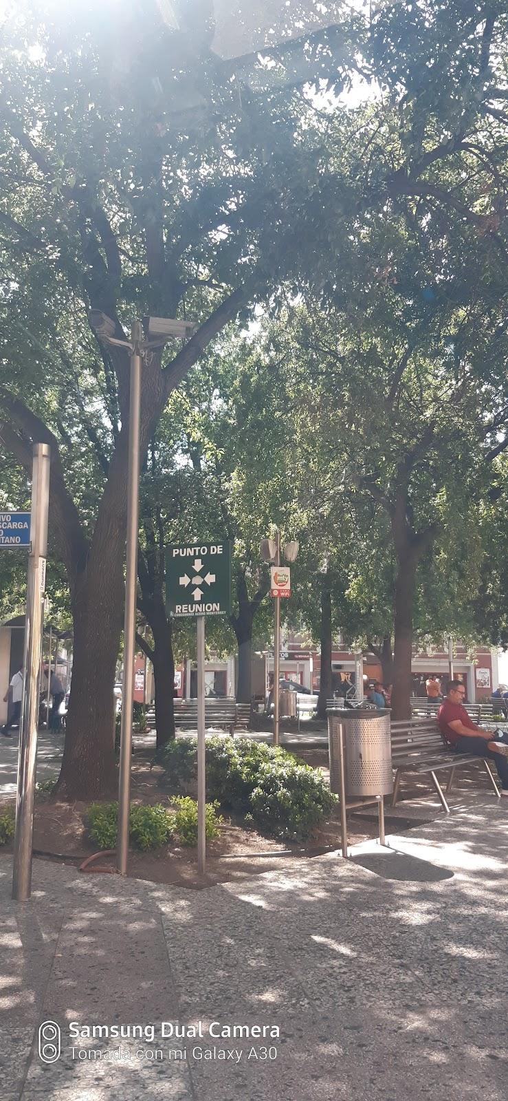 Plaza Hidalgo galería 9