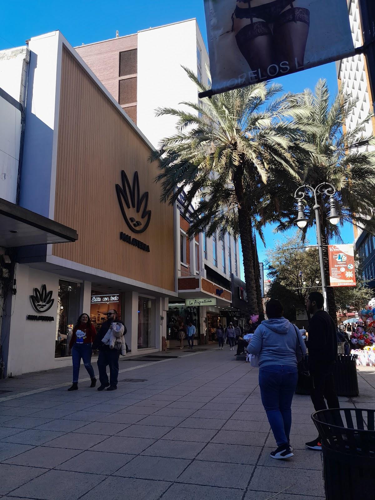 Plaza Morelos galería 9