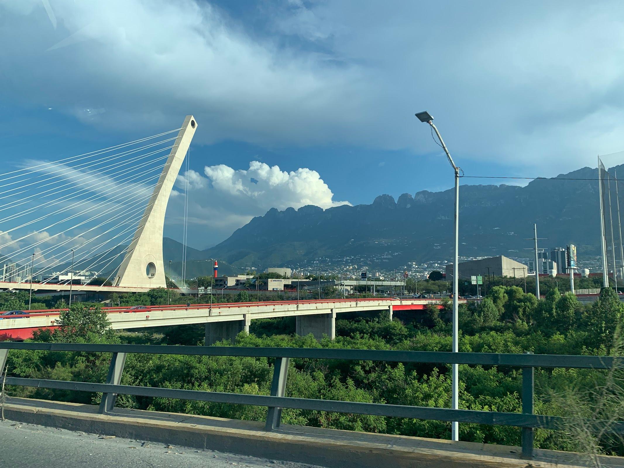 Puente Atirantado (La Unidad) galería 5