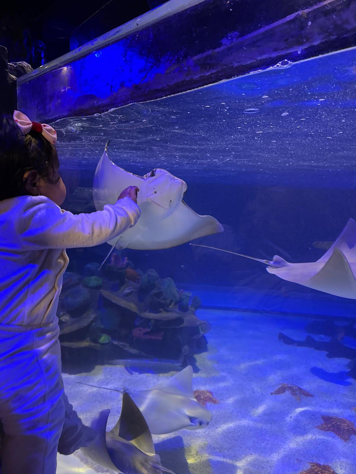 Sealand Monterrey galería 2