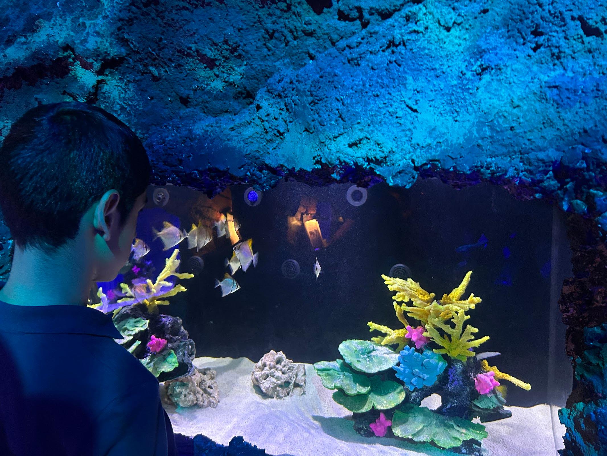 Sealand Monterrey galería 5