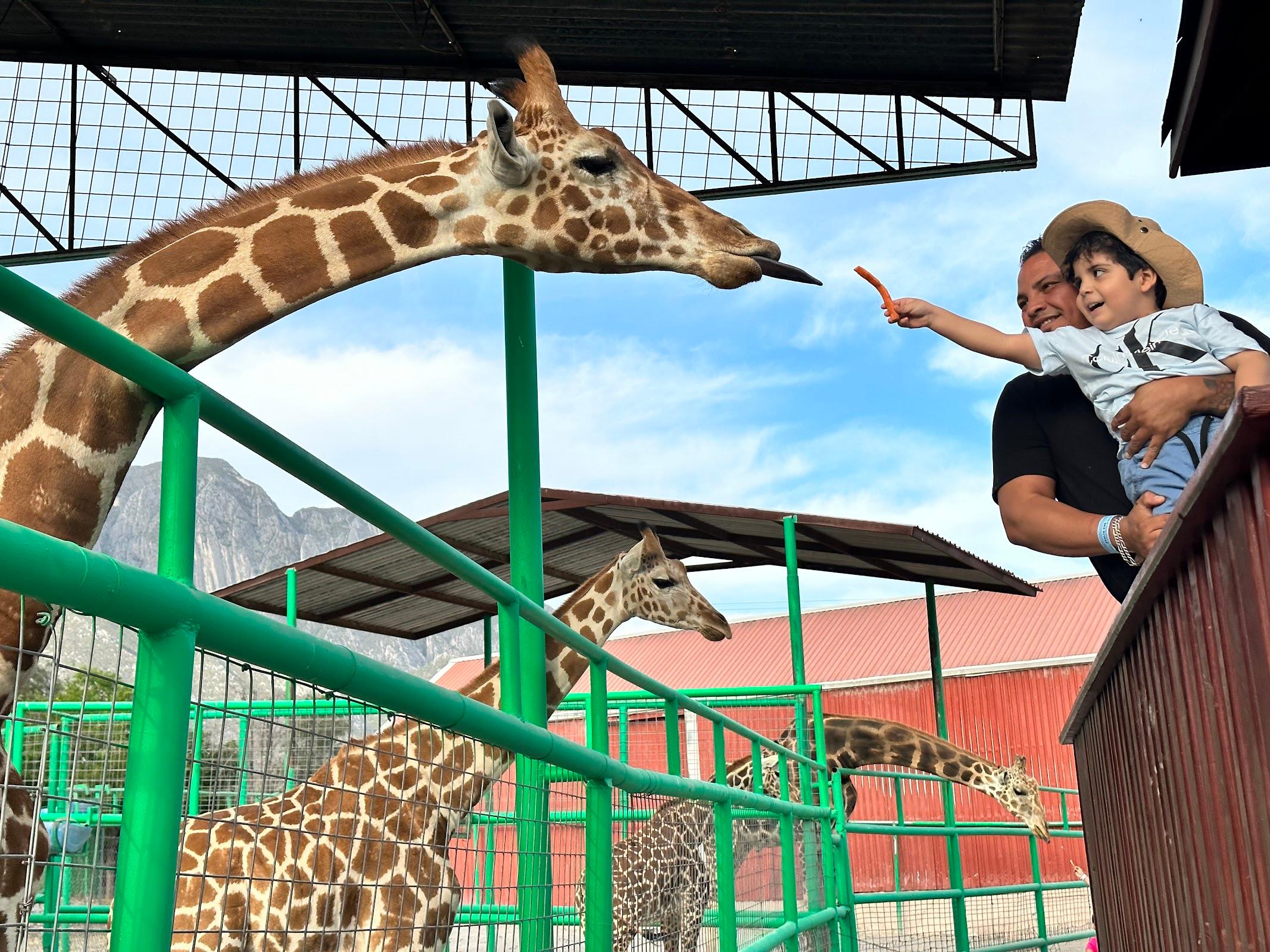 Xenpal Centro de Conservación de Fauna galería 3