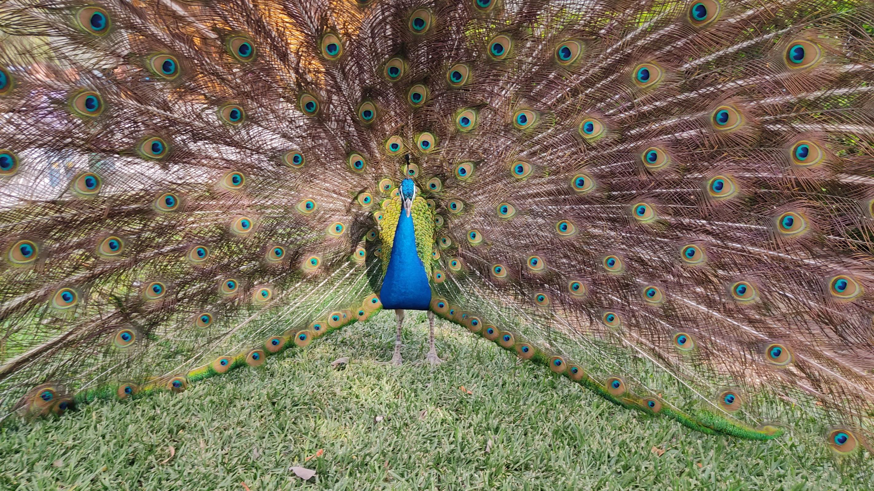 Xenpal Centro de Conservación de Fauna galería 6