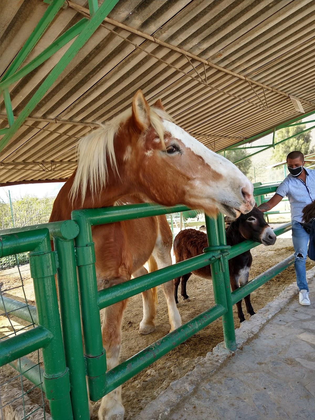 Xenpal Centro de Conservación de Fauna galería 7