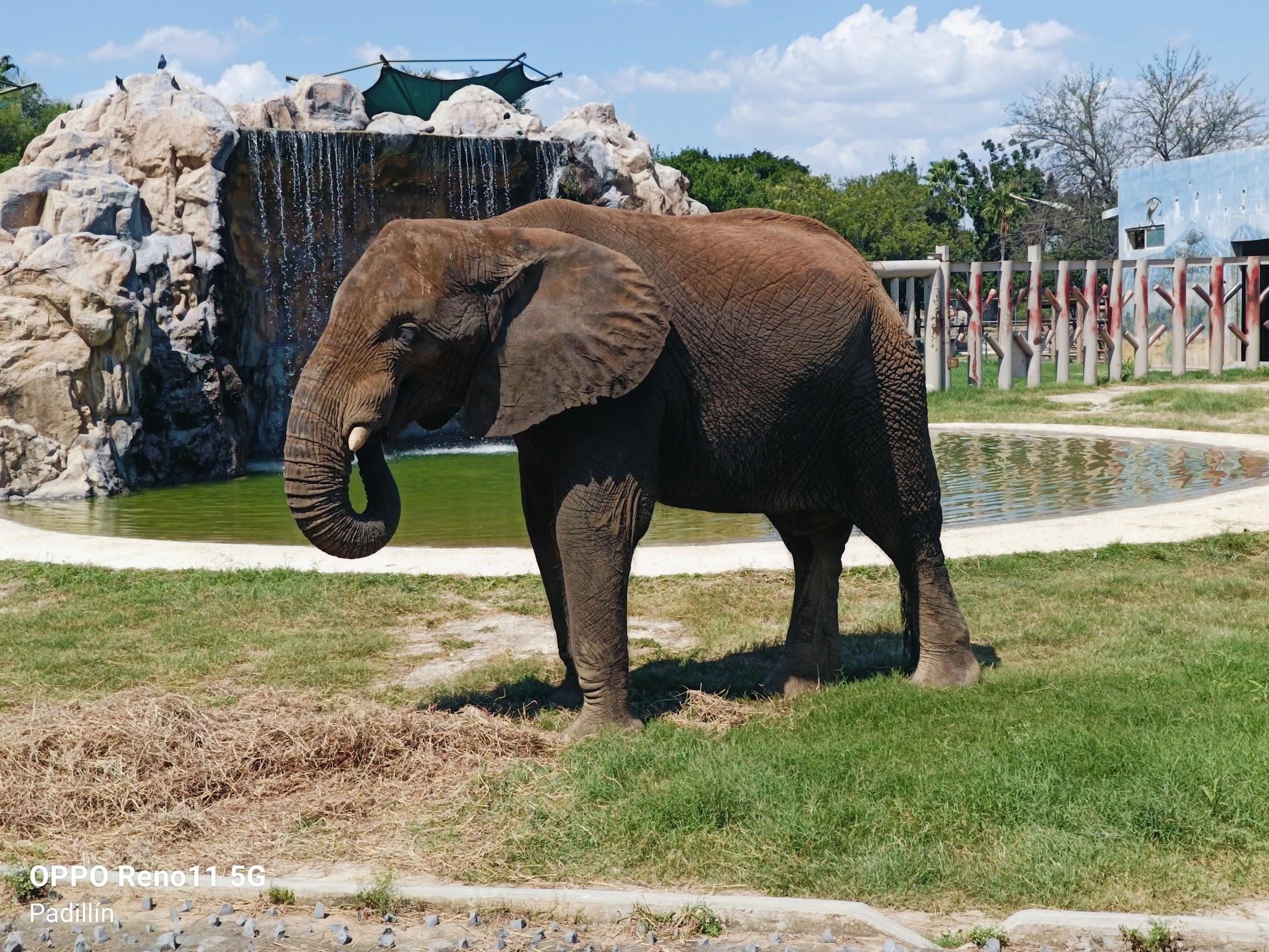 Parque Zoológico La Pastora galería 3