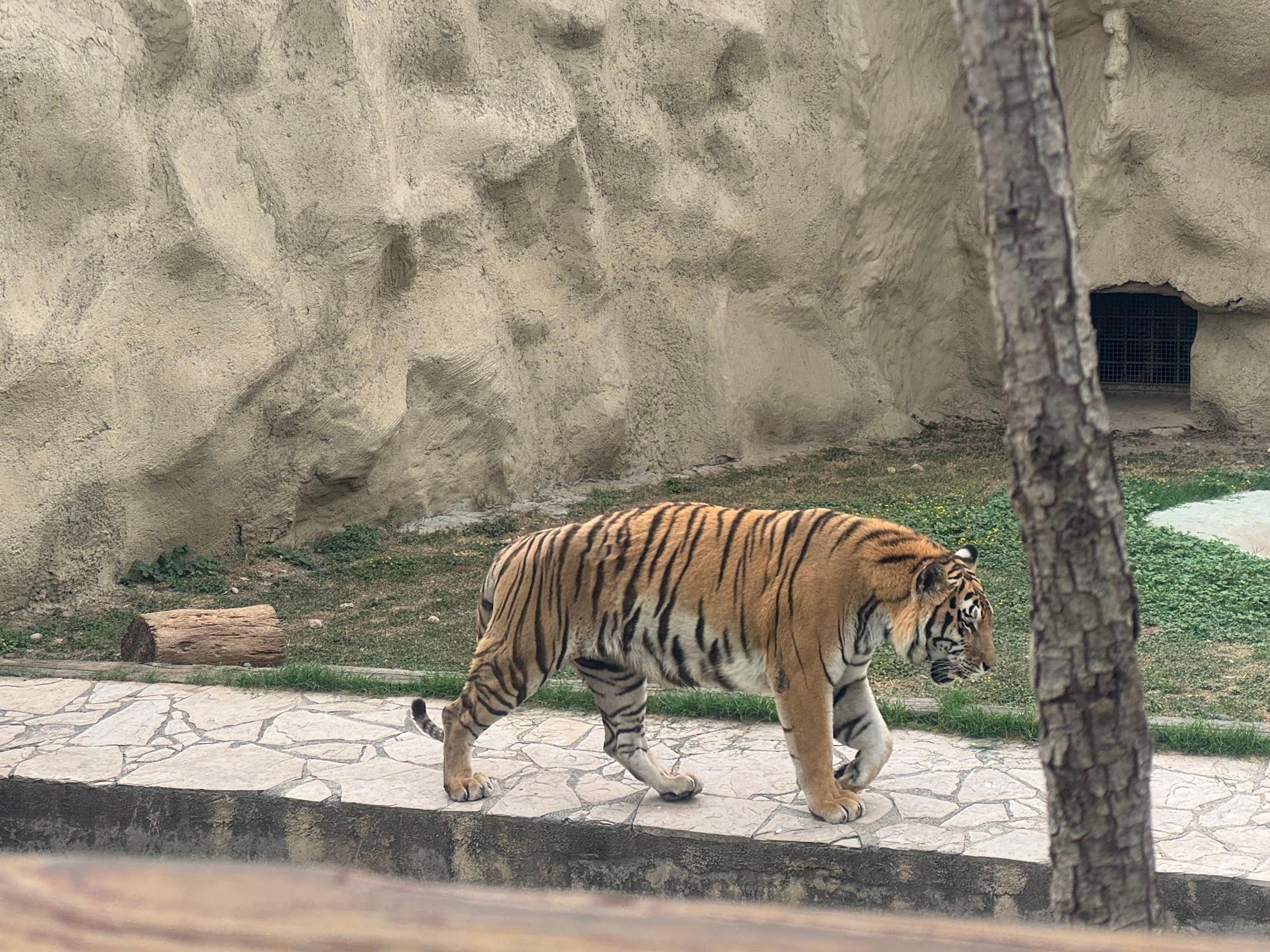 Parque Zoológico La Pastora galería 6