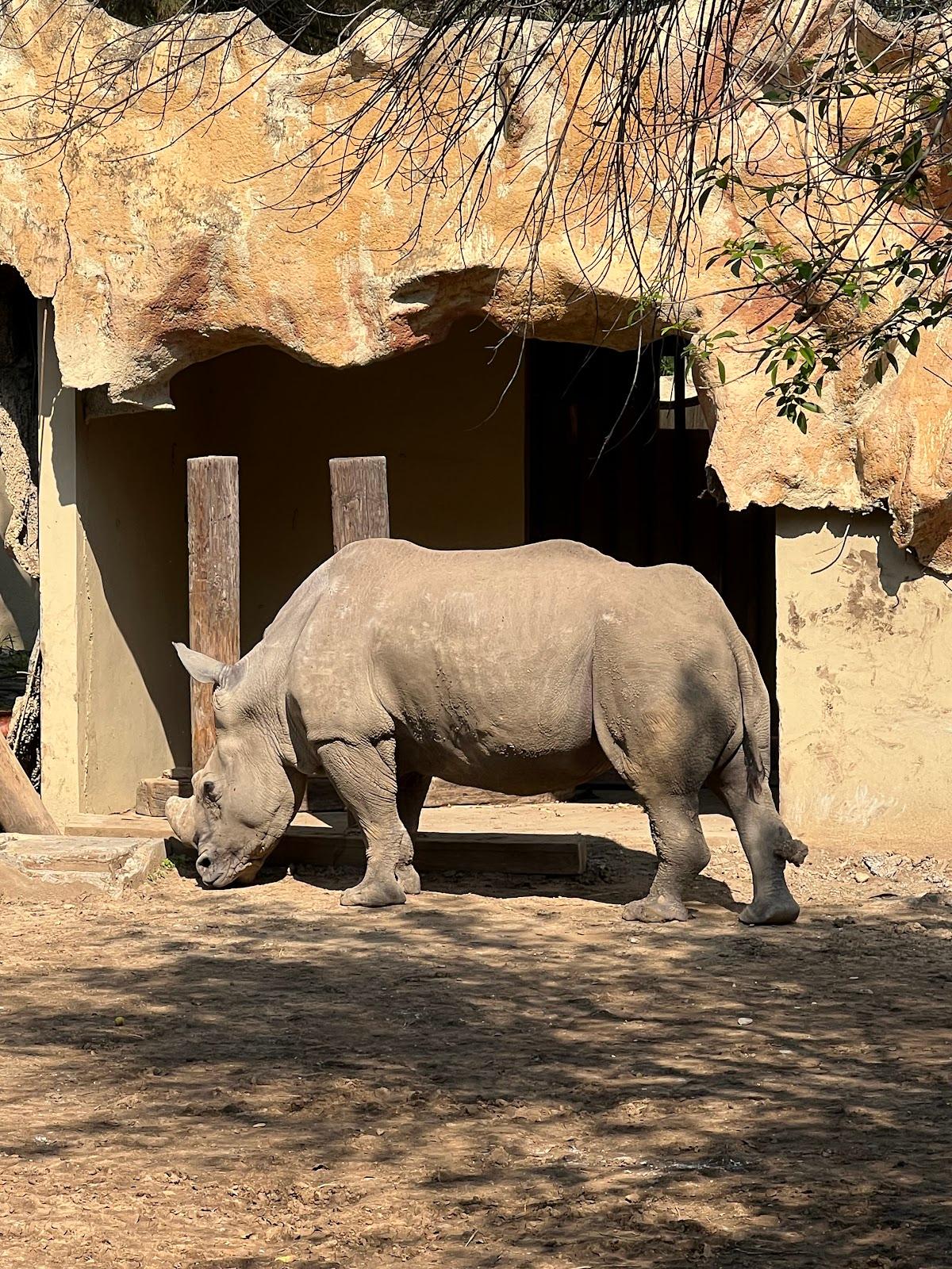Parque Zoológico La Pastora galería 9