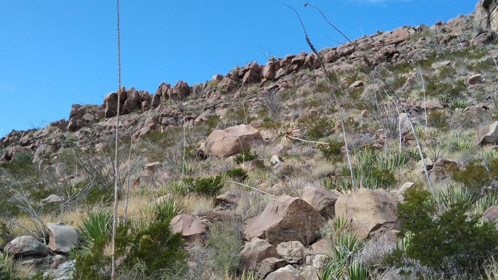 Boca de Potrerillos galería 5