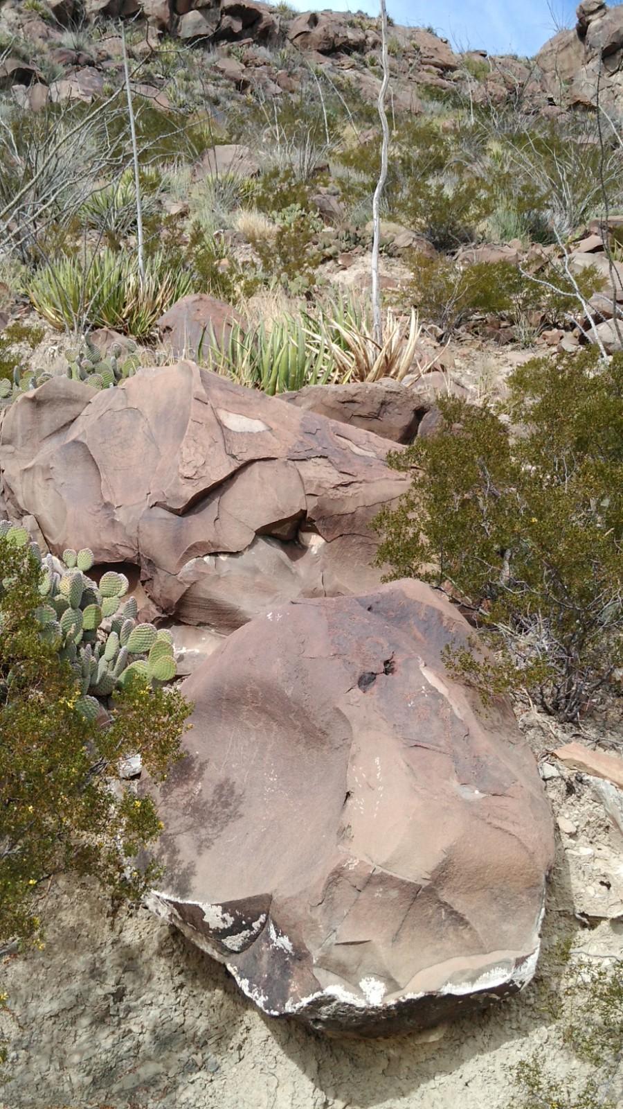 Boca de Potrerillos galería 9