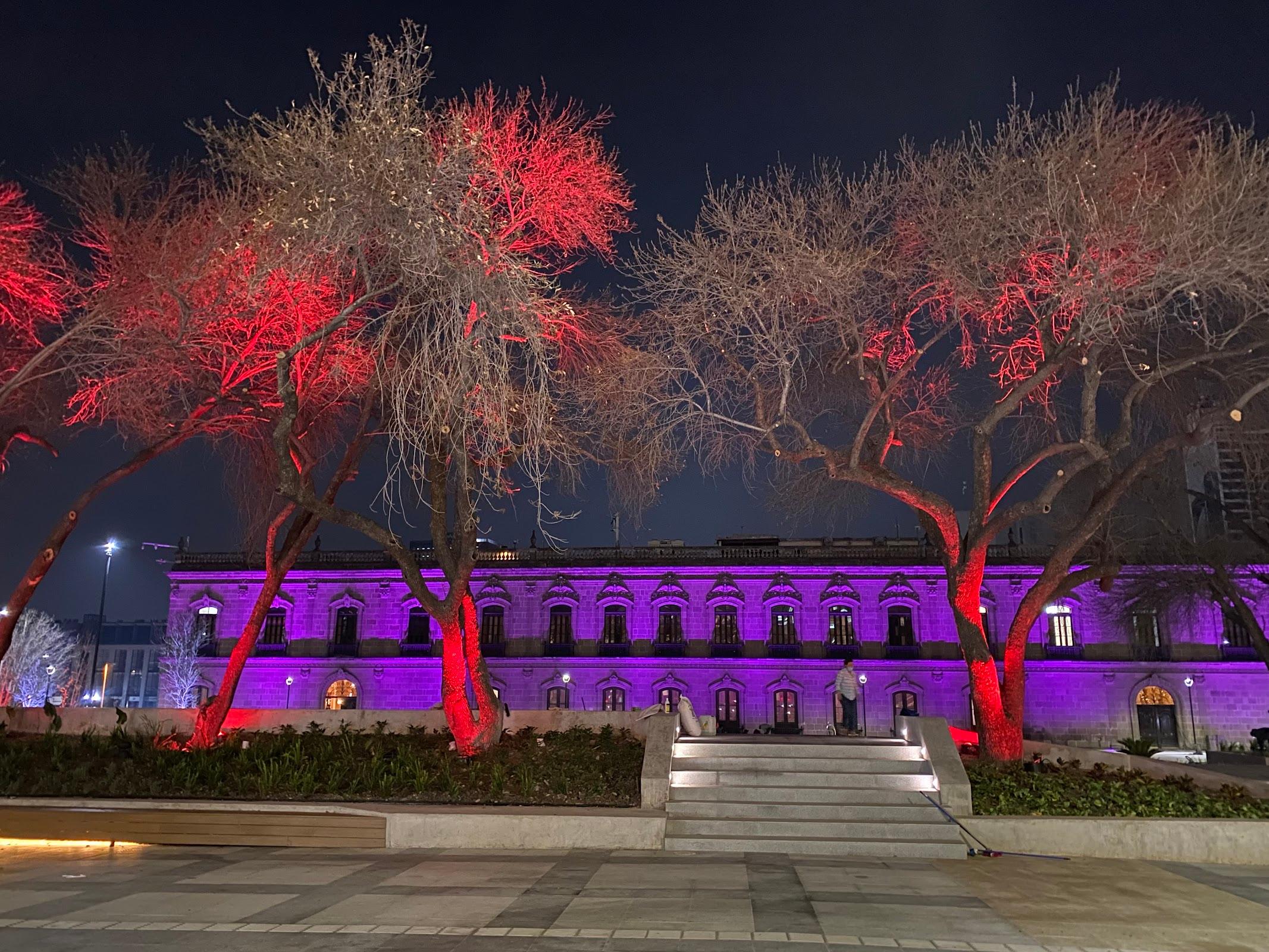 Antiguo Palacio Federal galería 4