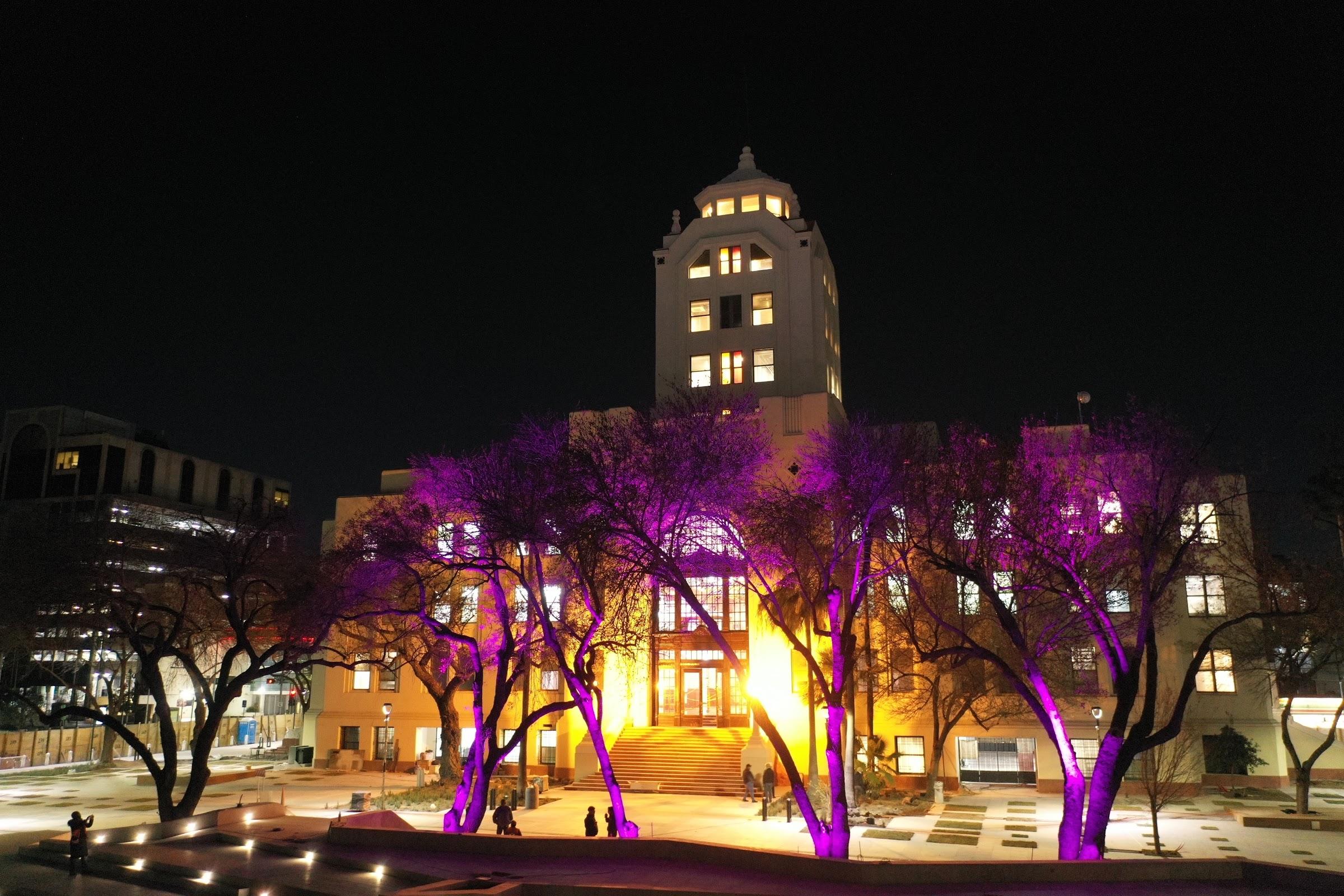 Antiguo Palacio Federal galería 9