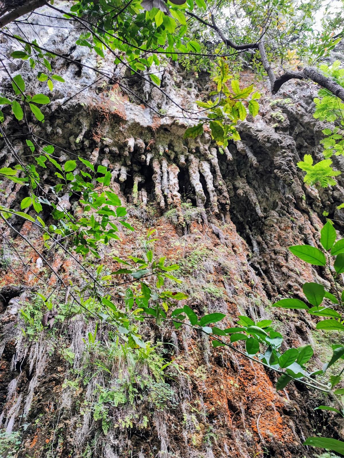Cascada del Chipitín galería 9