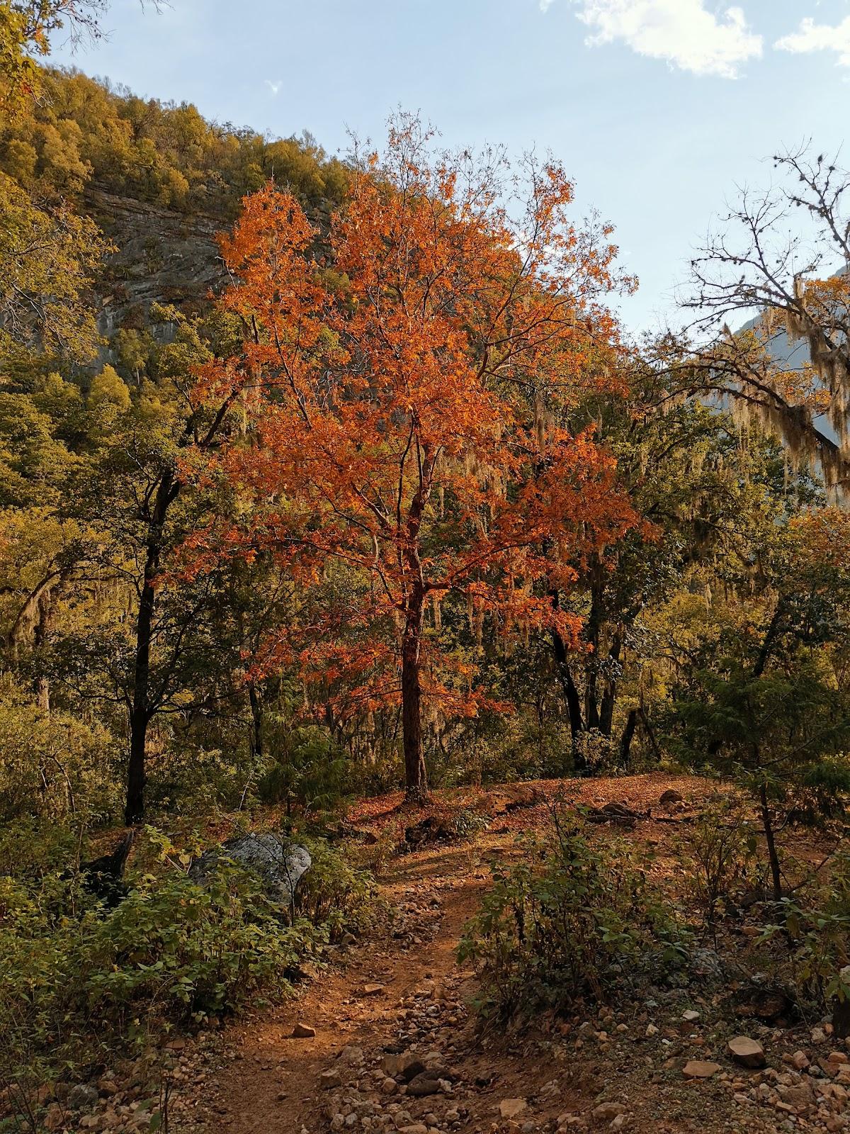 Cascada del Chipitín galería 10
