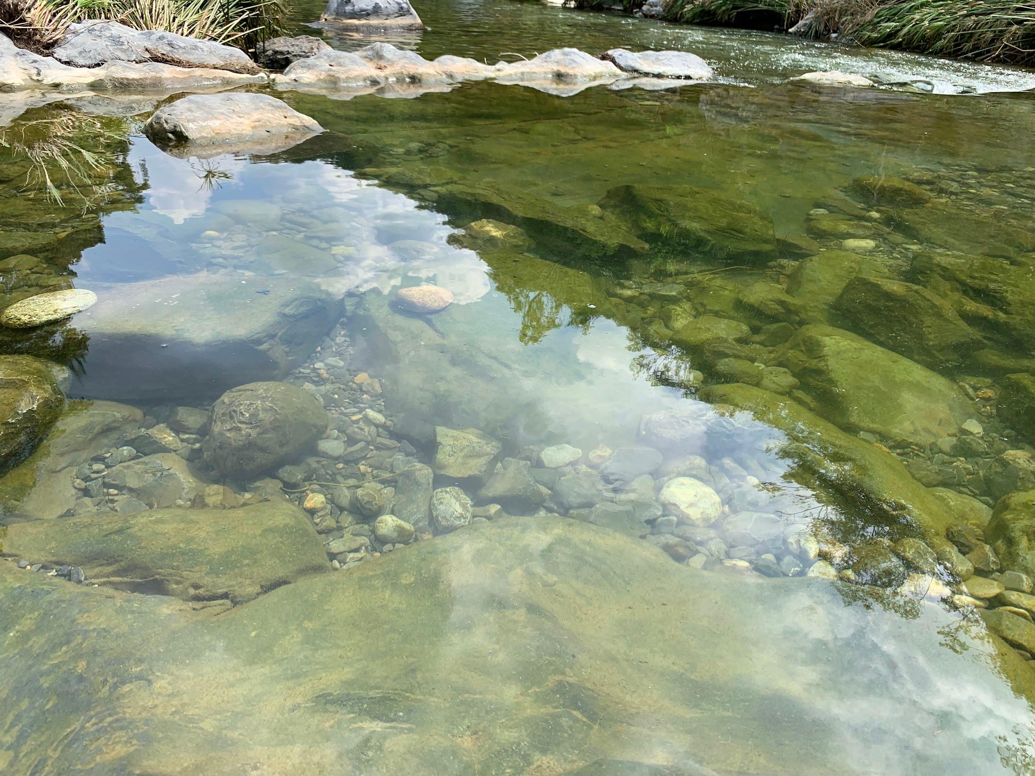 Cueva De Los Murcielagos galería 8