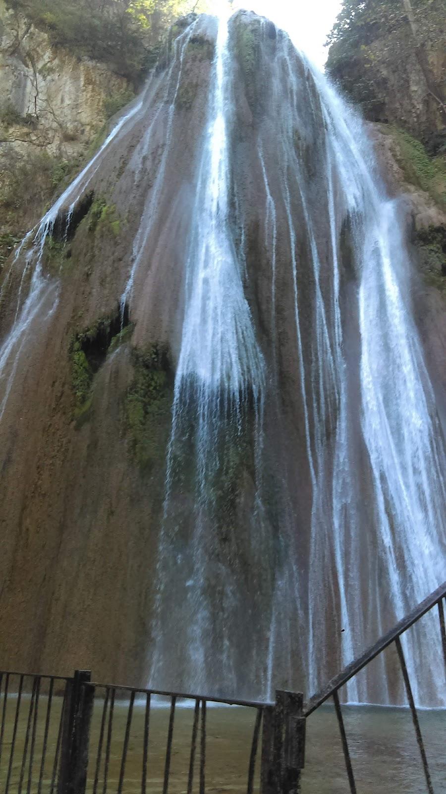 IBO Canopy Cola de Caballo galería 6