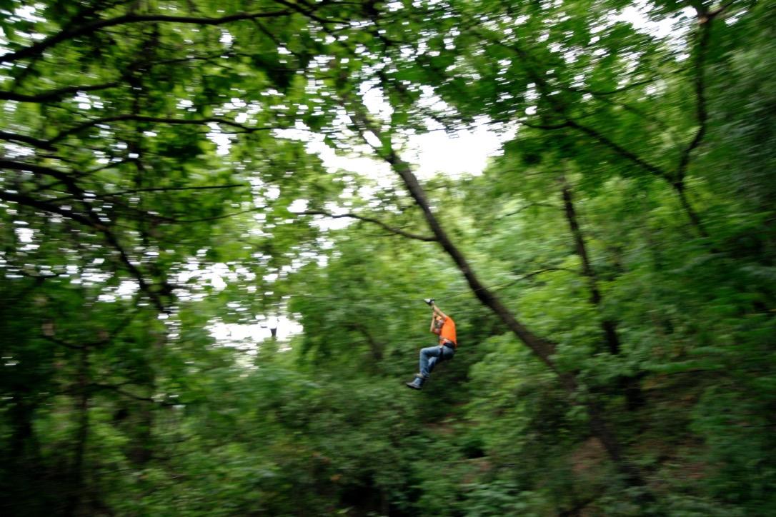 IBO Canopy Cola de Caballo galería 9