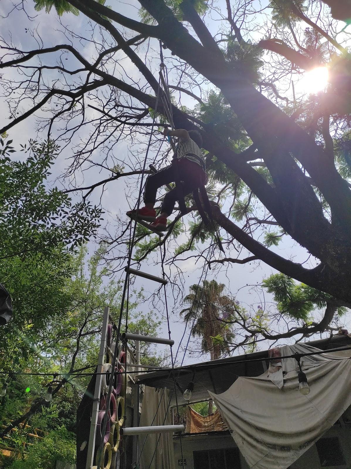 La Casa de Piedra galería 4