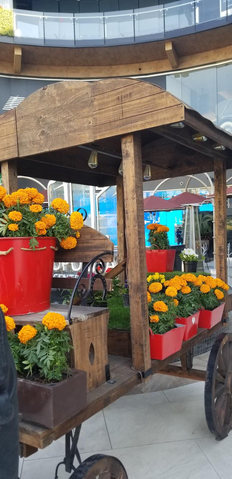 Circus Park galería 8