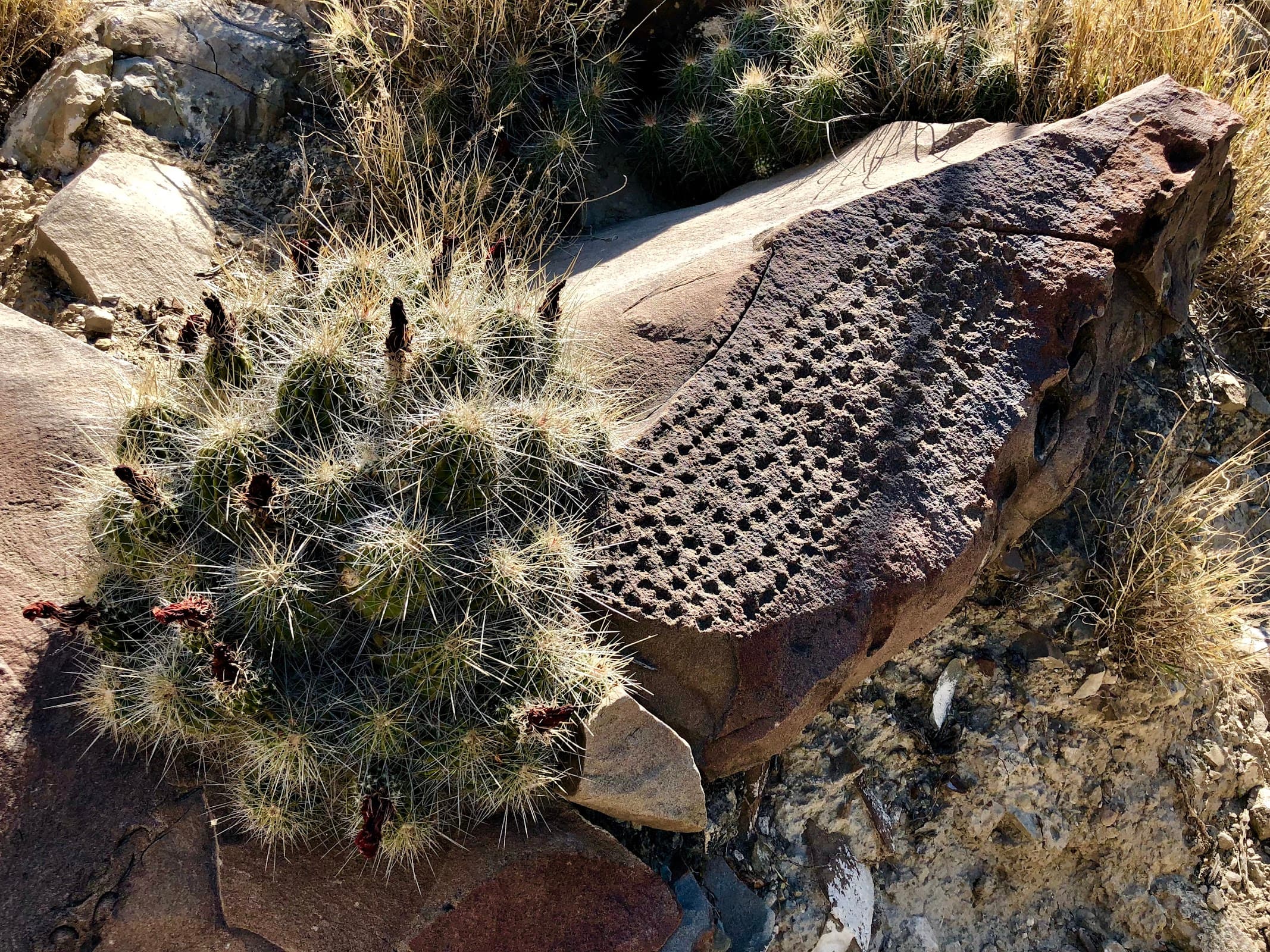 Zona Arqueológica Boca de potrerillos miniatura 7