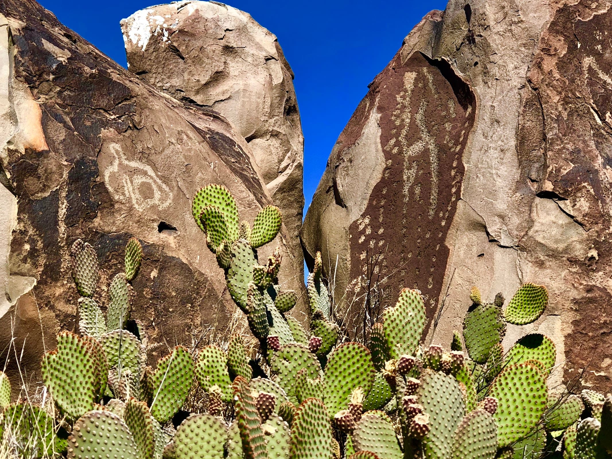 Zona Arqueológica Boca de potrerillos miniatura 9