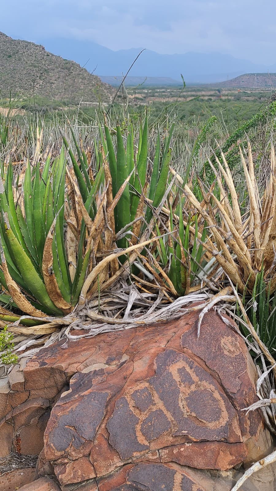 Zona Arqueológica Boca de potrerillos miniatura 10