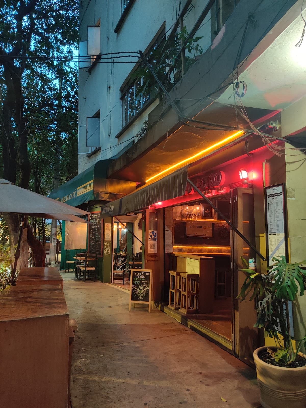 Baltra Bar en Ciudad de México - Recomendado
