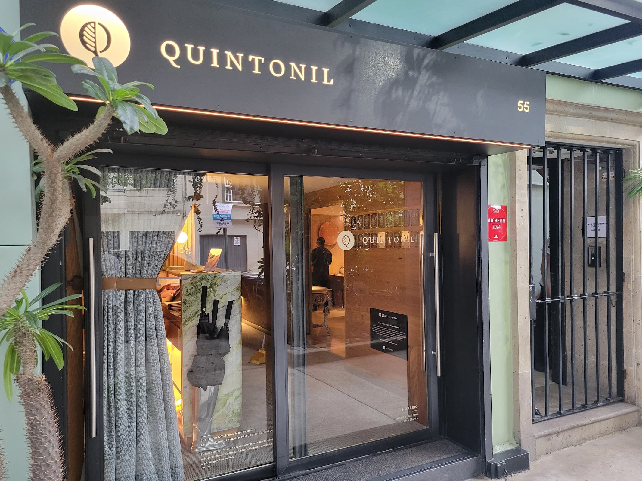 Quintonil miniatura 8