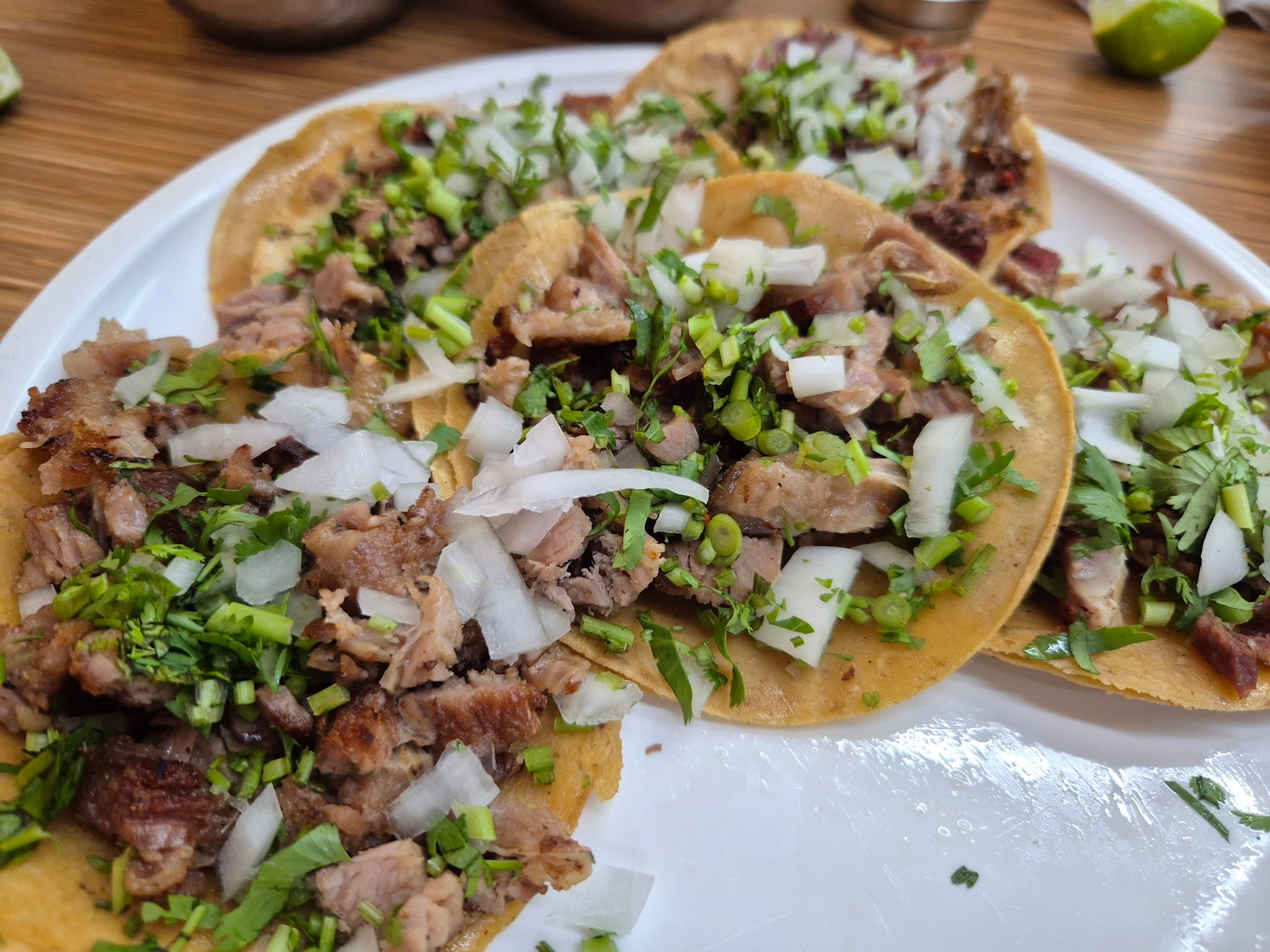 Los Cocuyos miniatura 6