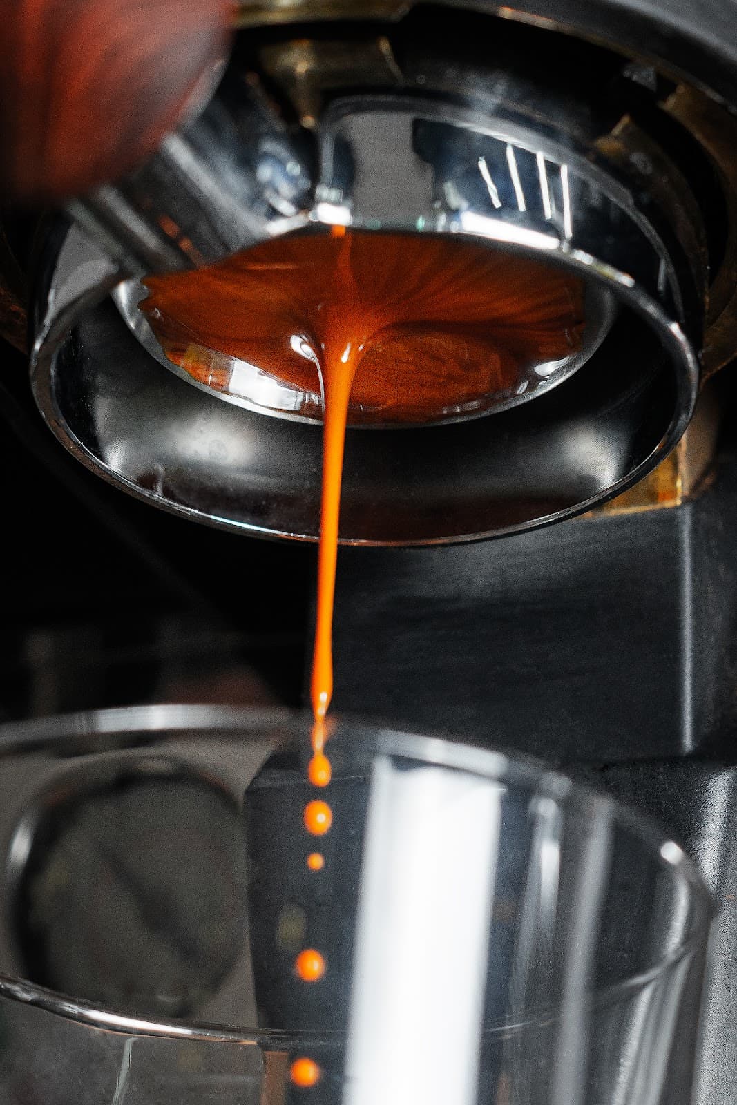 BREWKLYN COFFEE & BAGELS - DEL VALLE miniatura 3