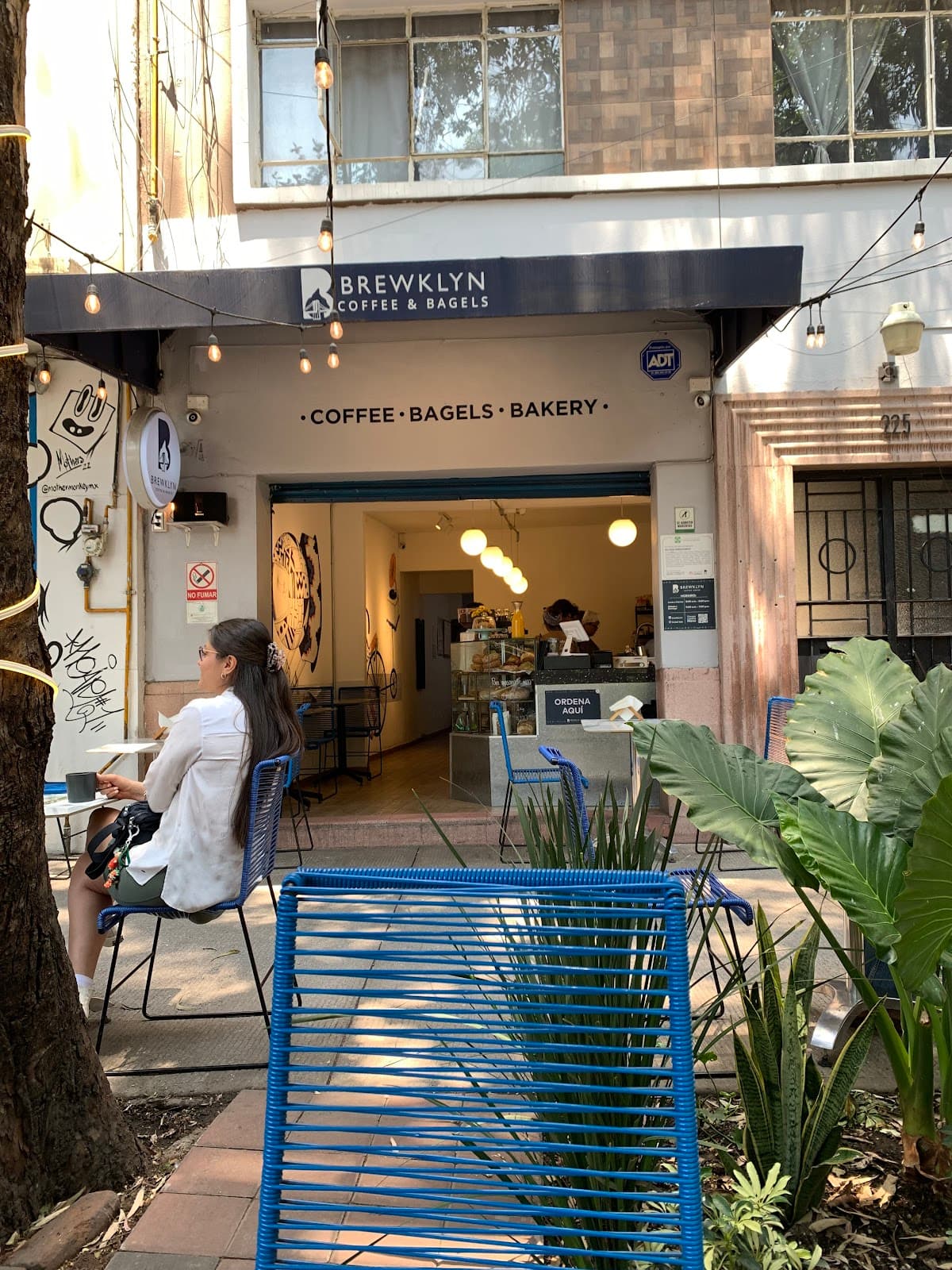BREWKLYN COFFEE & BAGELS - DEL VALLE miniatura 7