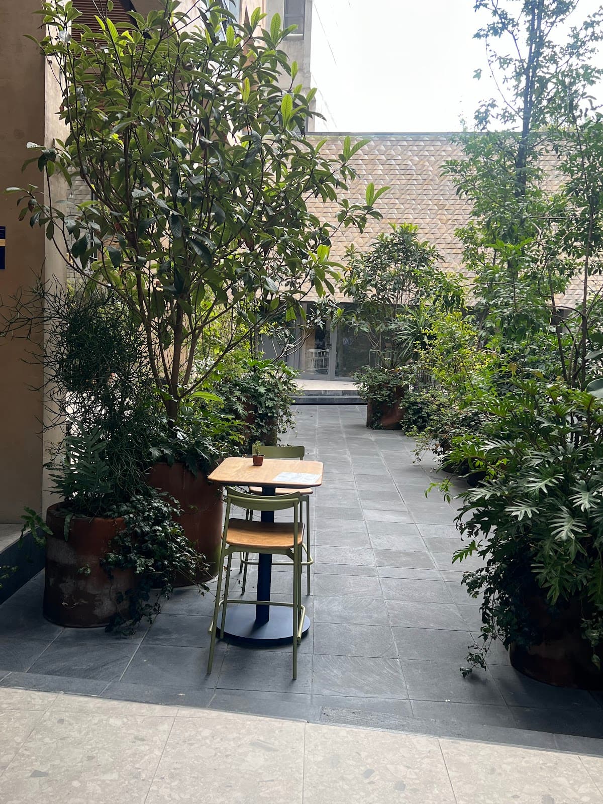 MORENOS TAP ROOM ESCANDON en Ciudad de México - Recomendado
