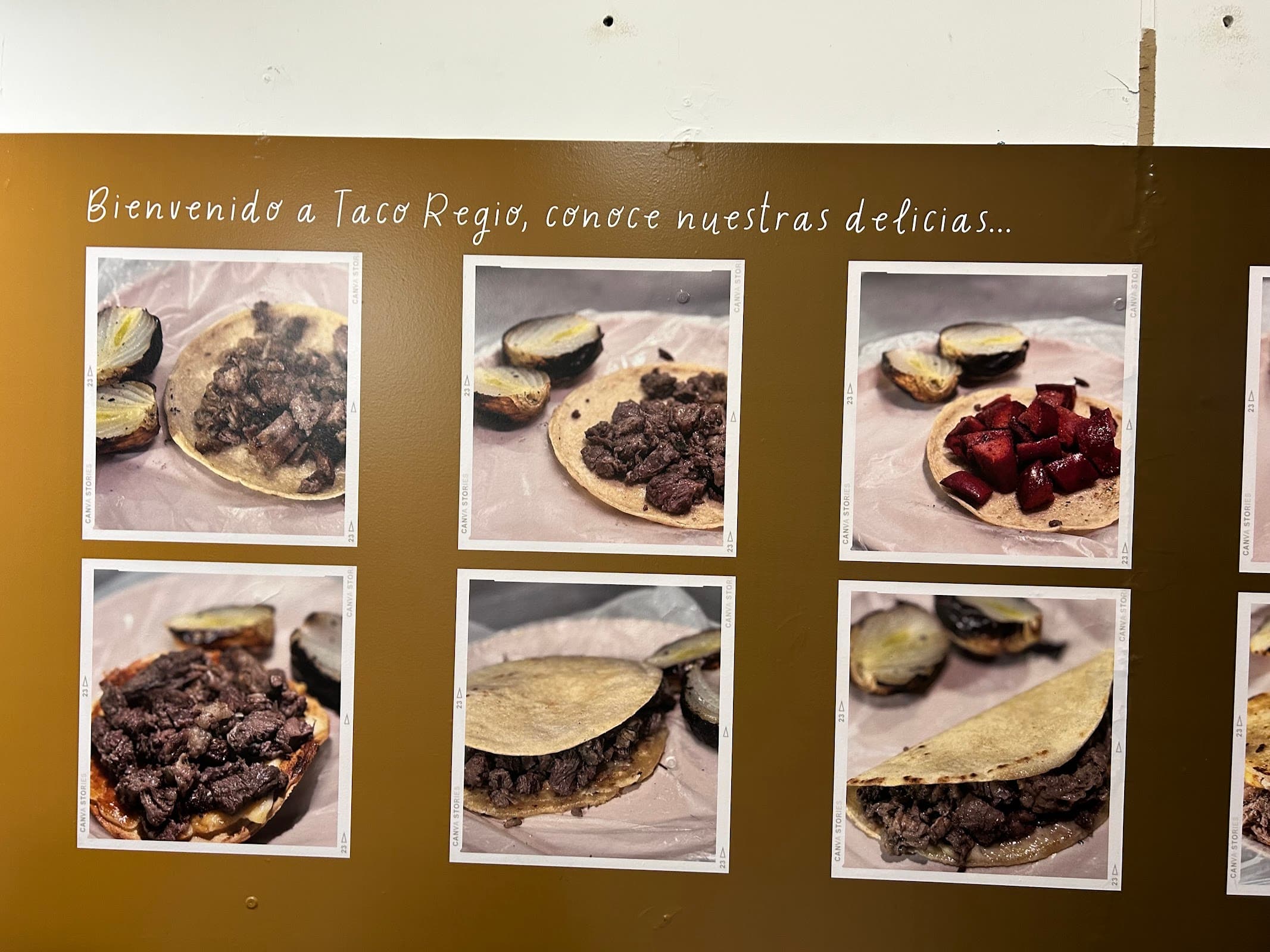 Taco Regio miniatura 10