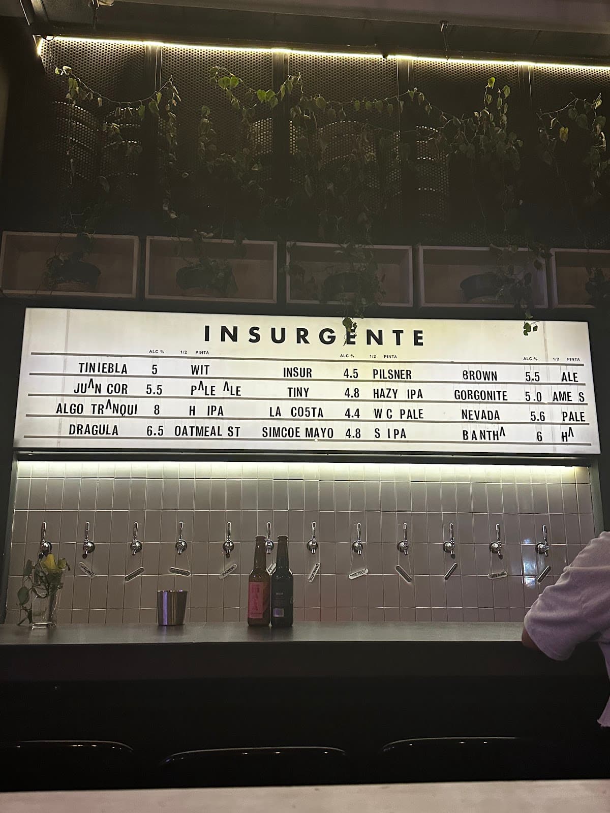 Insurgente Tap Room - Guadalajara miniatura 6