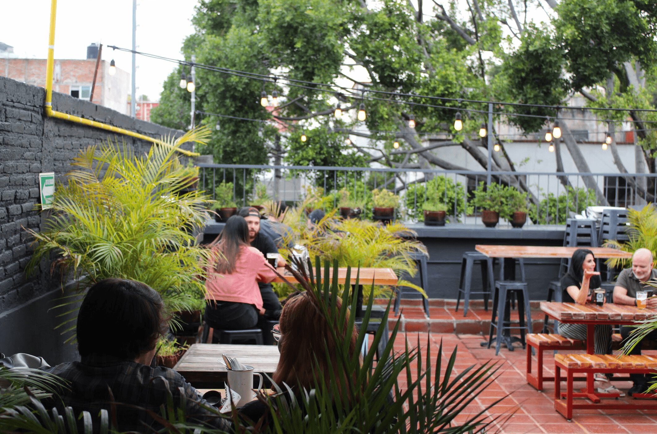 Patan Ale House en Guadalajara - Recomendado