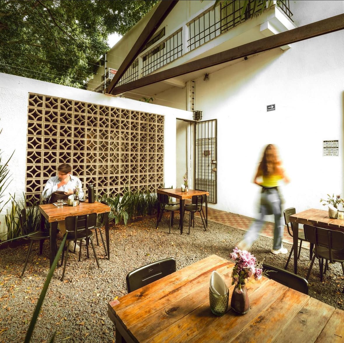 Biolento_ en Guadalajara
