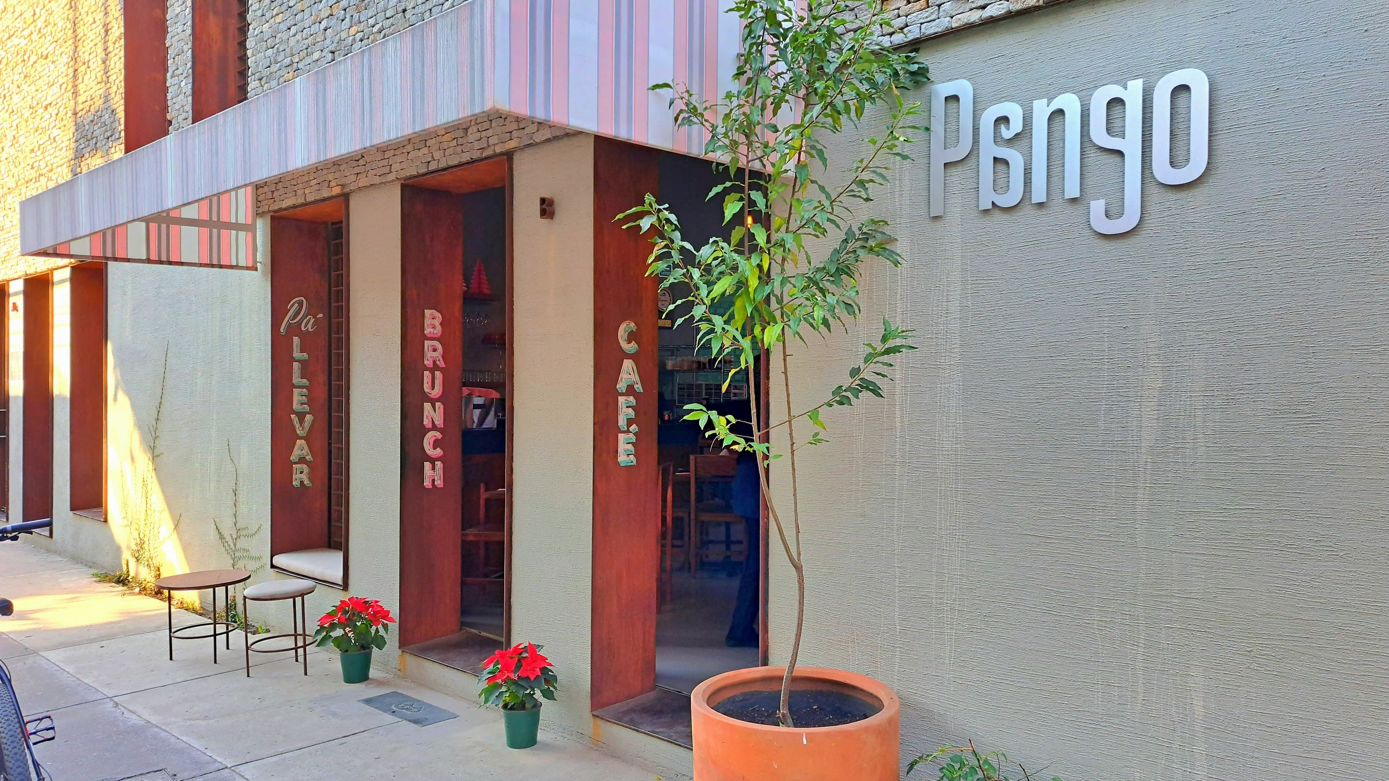 Pango miniatura 10