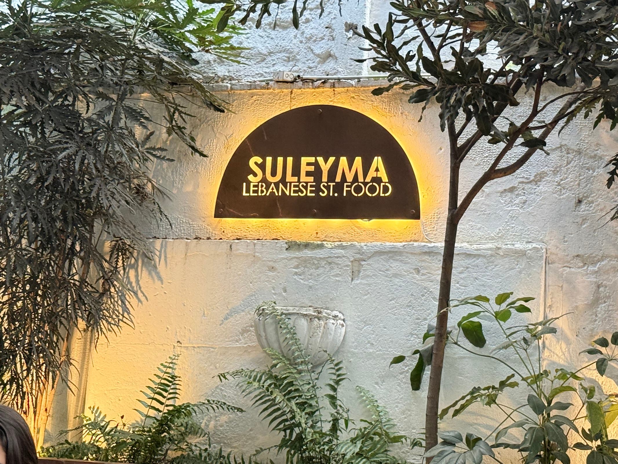 Suleyma miniatura 6