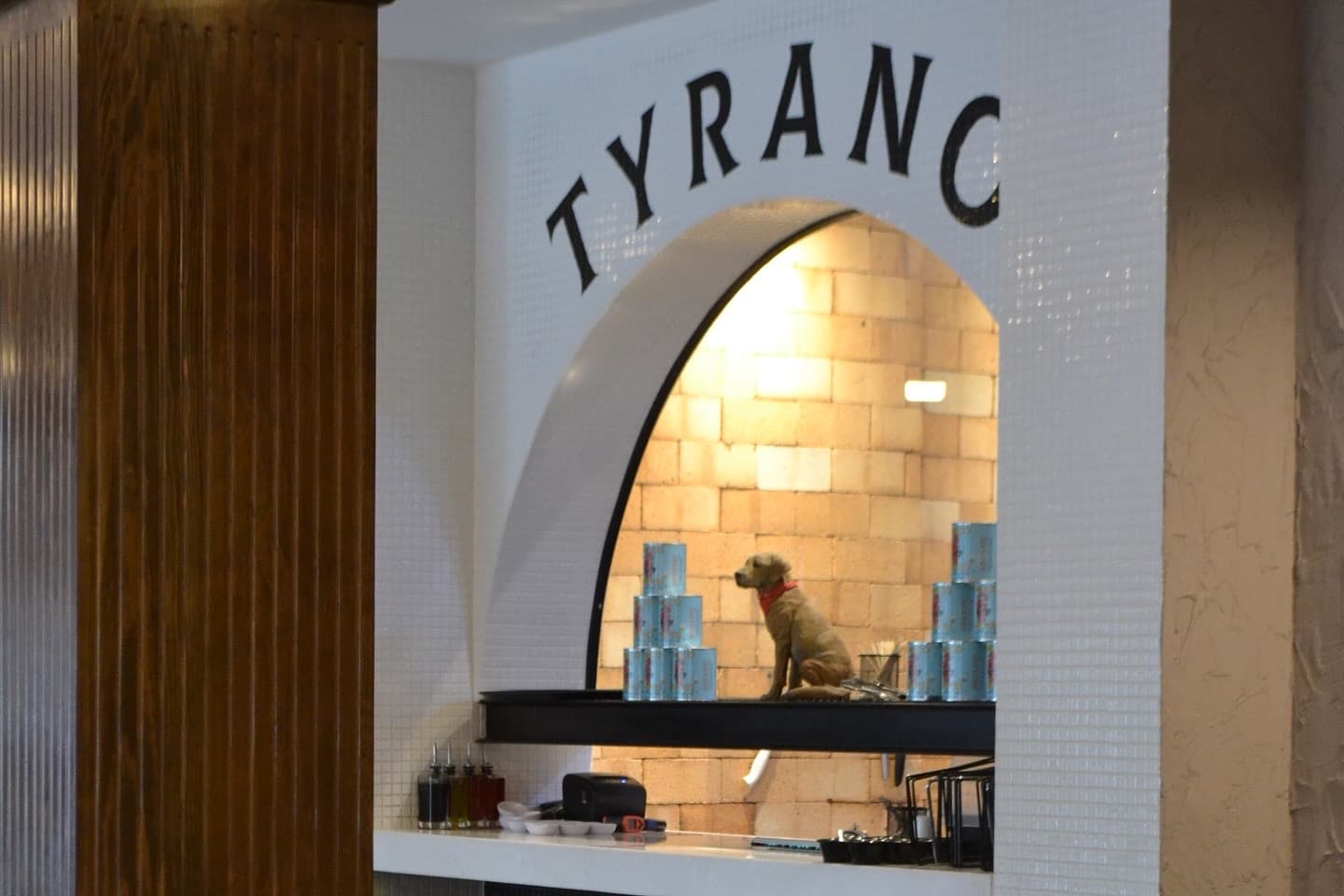 Tyrano miniatura 4
