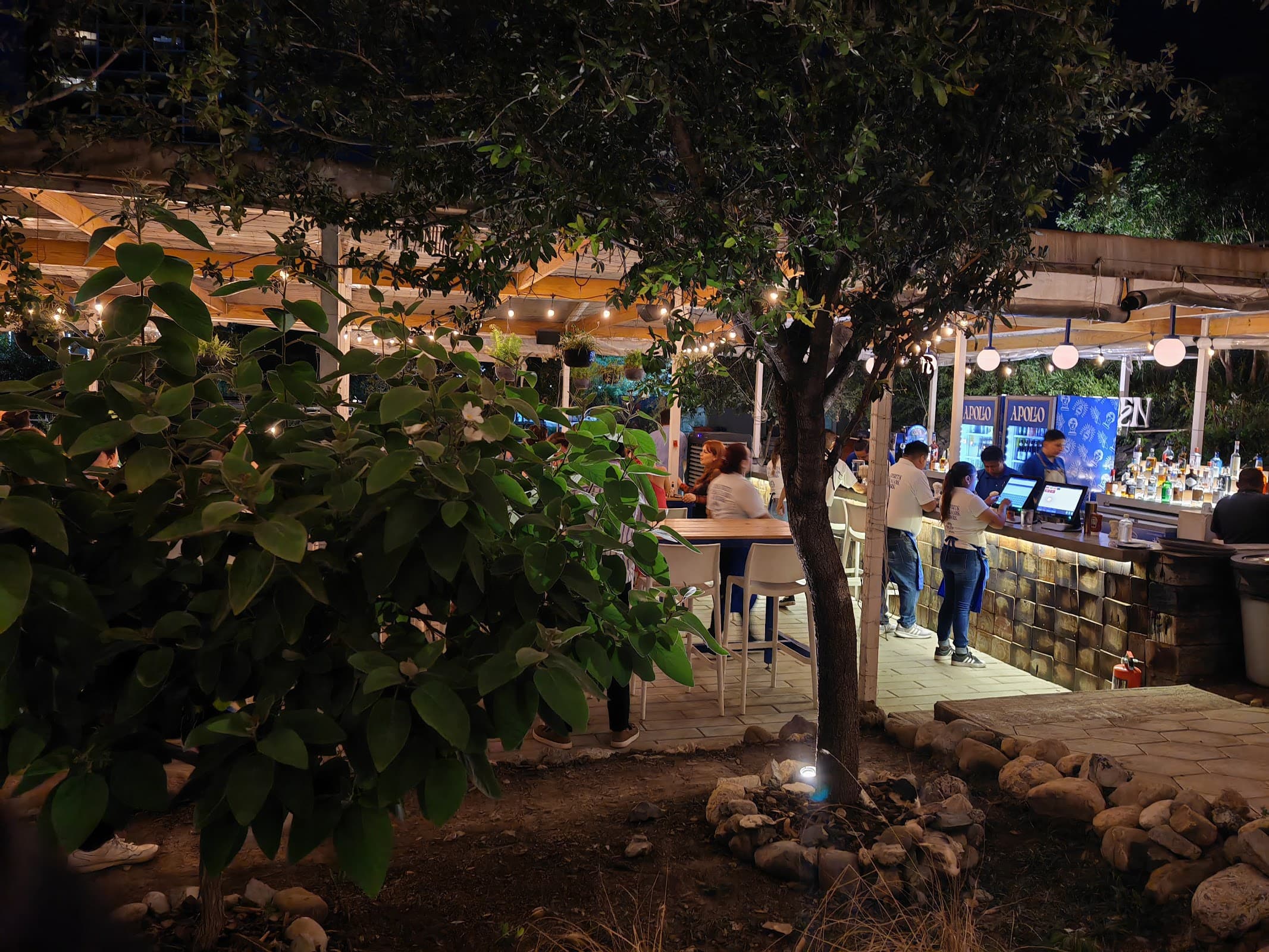 Apollo Garden miniatura 10