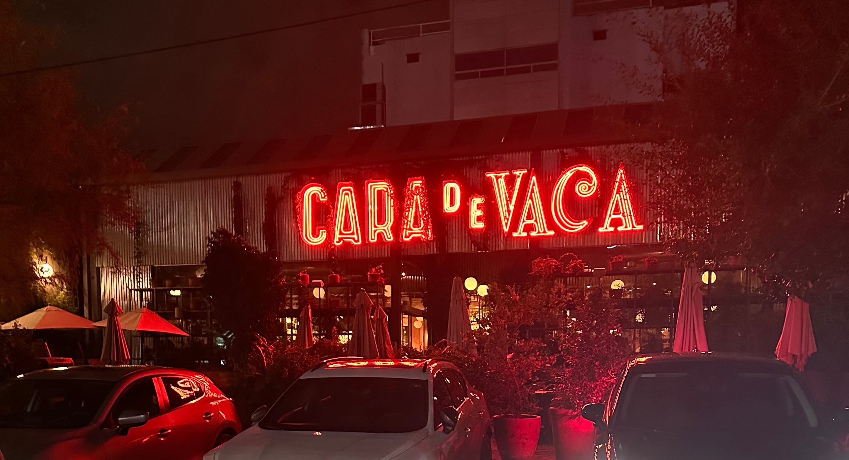 Cara de Vaca miniatura 5