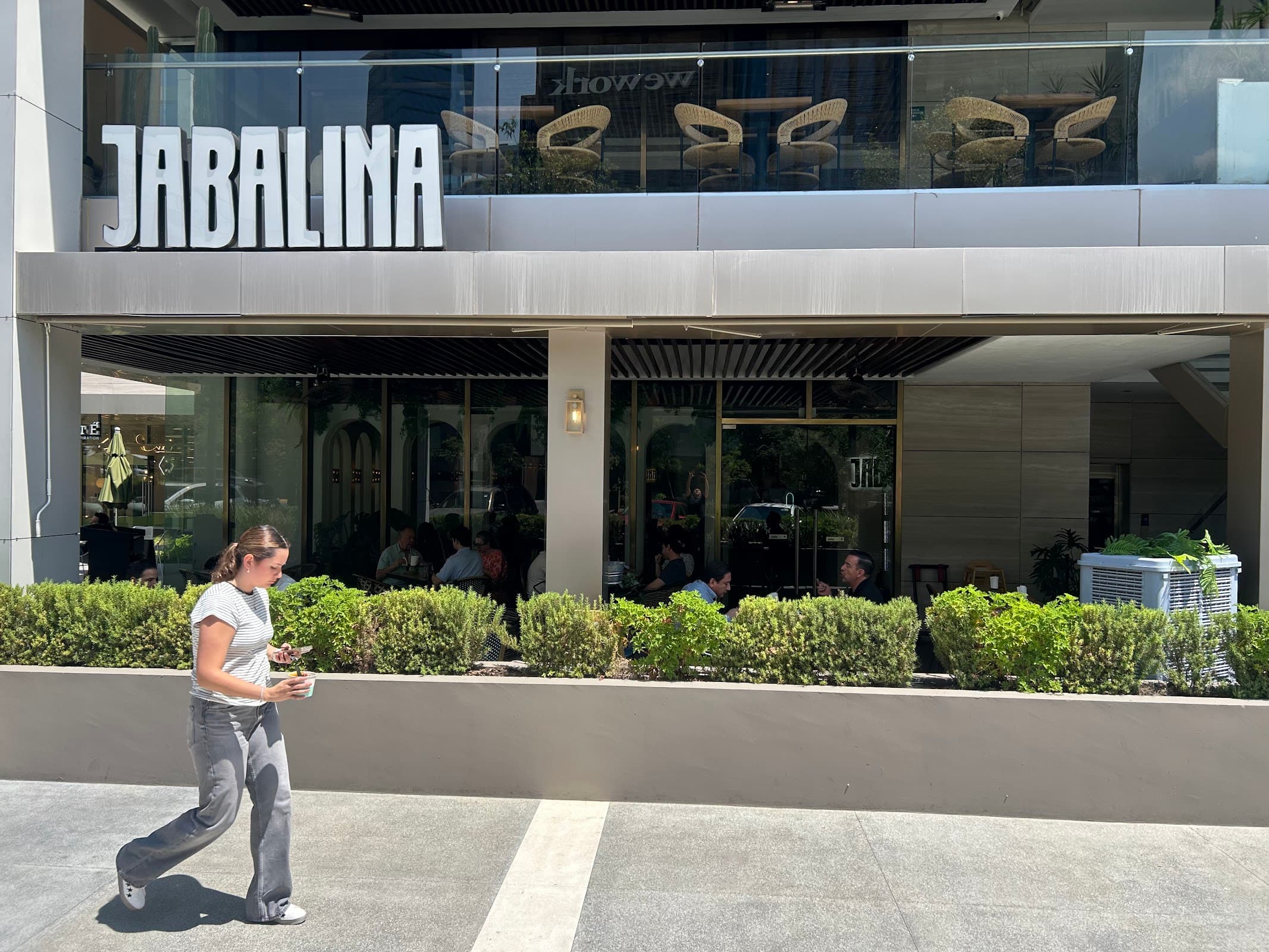 Jabalina Distrito Armida miniatura 8