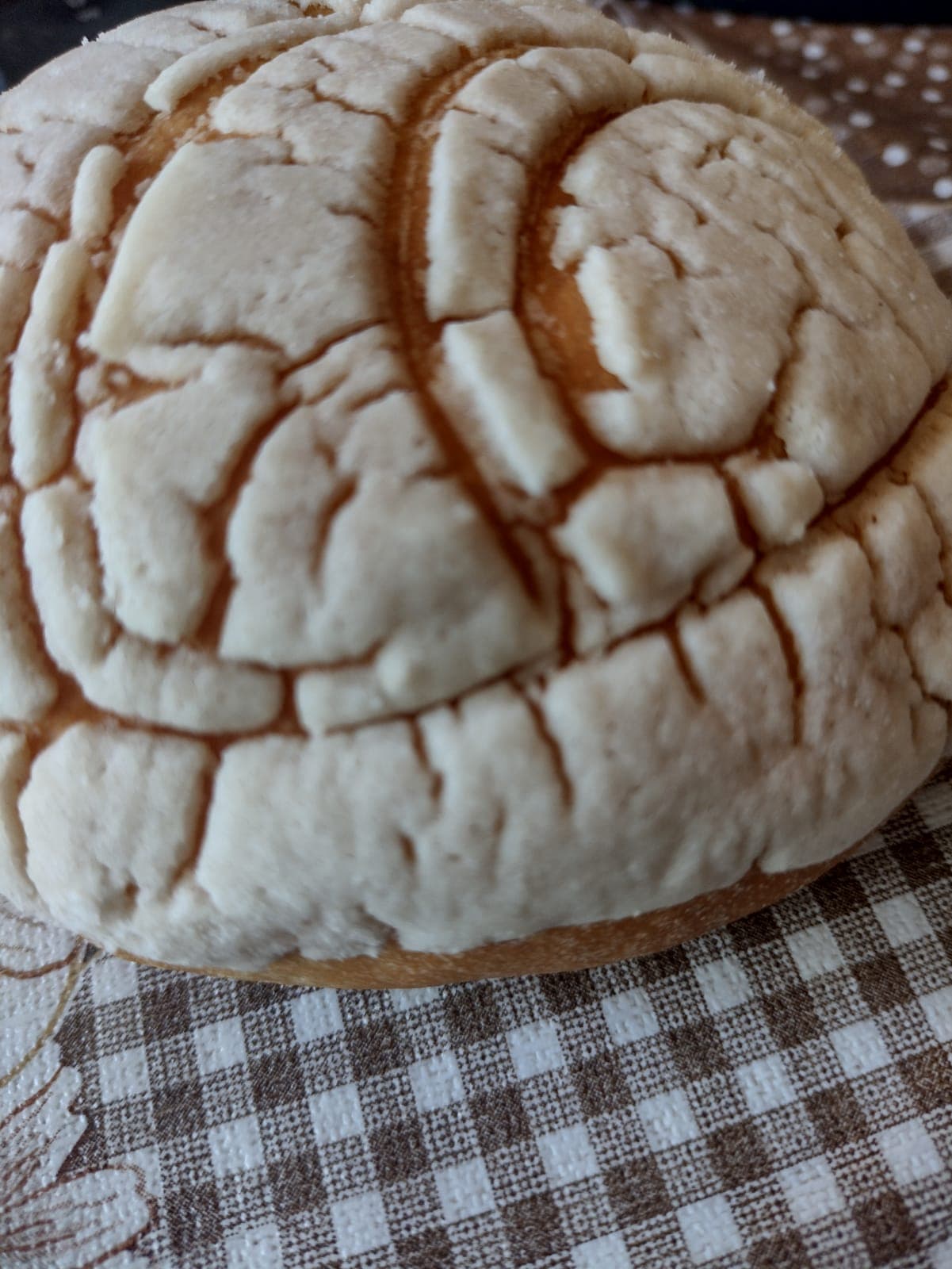 Pan de Pan Leones miniatura 8
