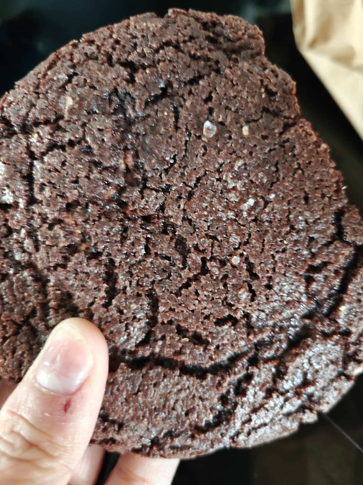 Pan de Pan Leones miniatura 9