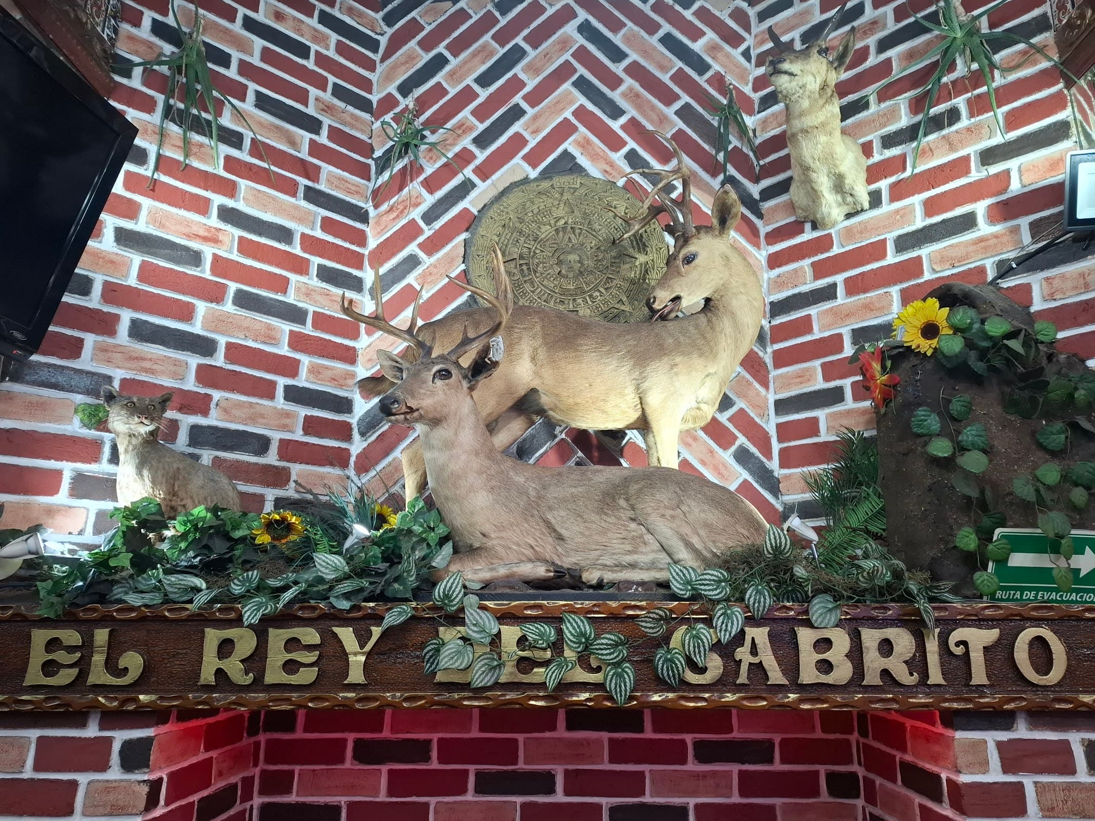 El Rey del Cabrito miniatura 10